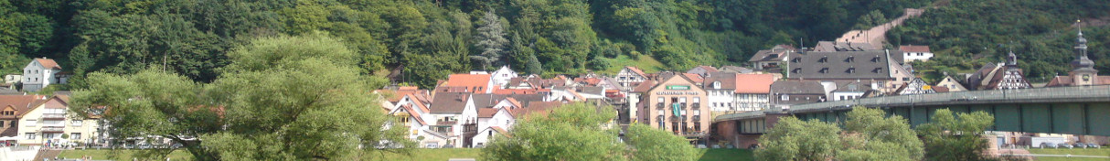 Stadt Freudenberg am Main